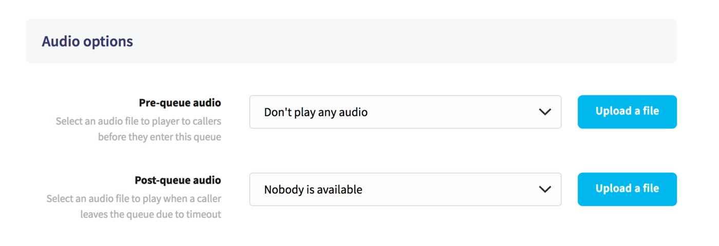 Edit queue audio options